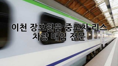이천 장호원읍 중고차 리스 차량 매입 전문