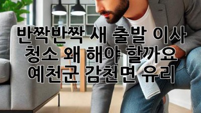 ✨ 반짝반짝 새 출발! 이사 청소, 왜 해야 할까요? (예천군 감천면 유리) ✨